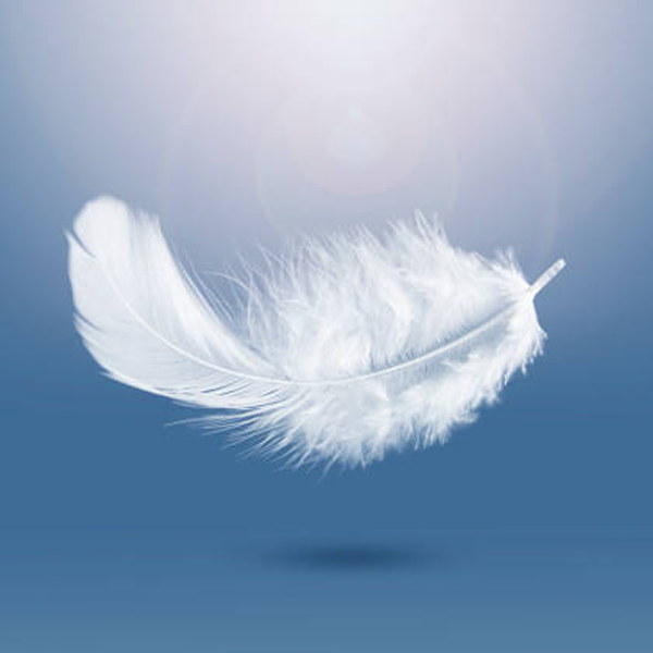 Down feather logo