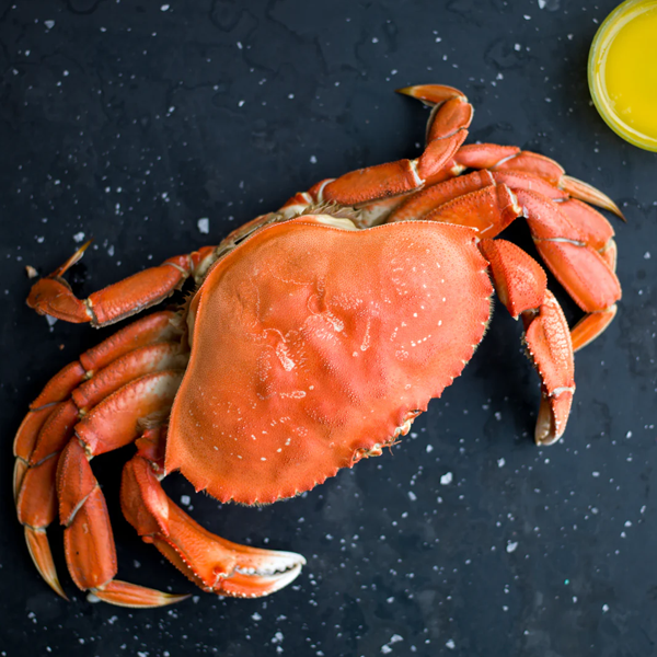 Dungeness crab logo