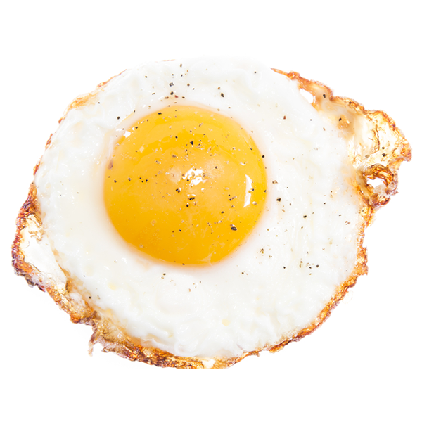 Egg (food) logo