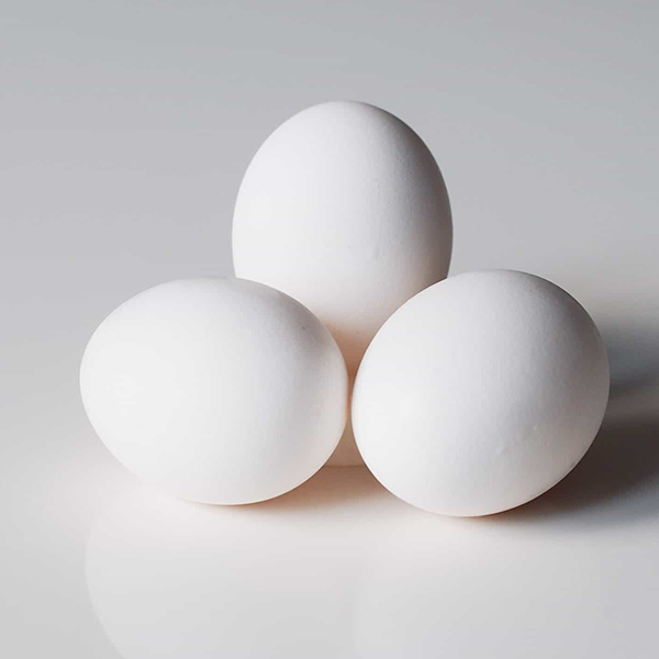 Egg logo