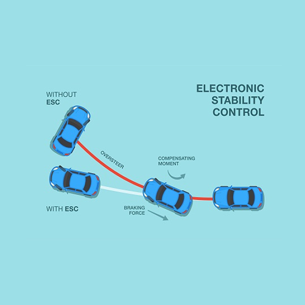 Electronic stability control logo