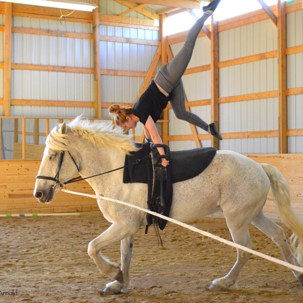 Equestrian vaulting logo