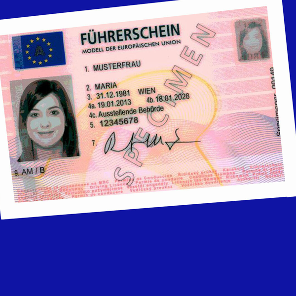 European driving licence logo