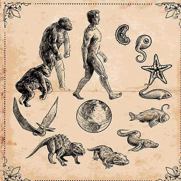 Evolutionary biology logo