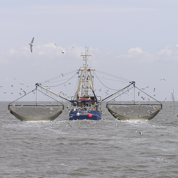Fishing vessel logo