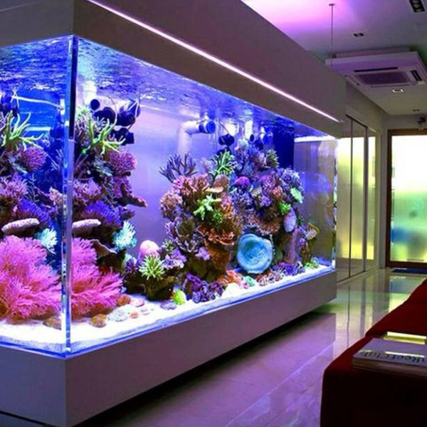 Fishkeeping