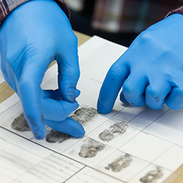 Forensic identification logo