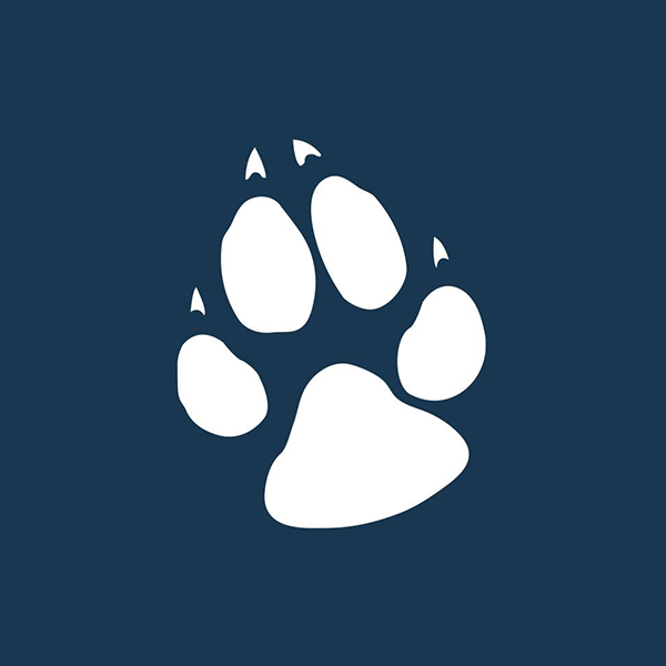 Great Wolf Resorts