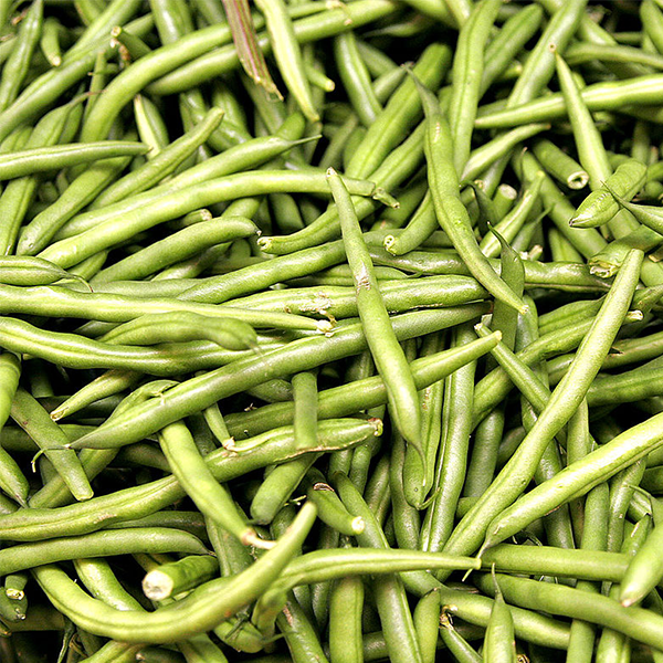 Green bean logo