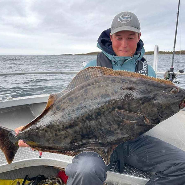 Halibut logo