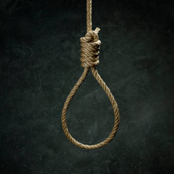 Hang (instrument)