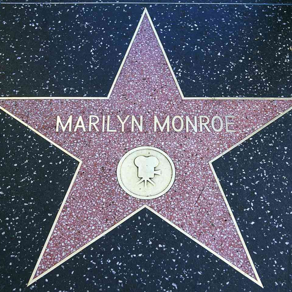 Hollywood Stars logo