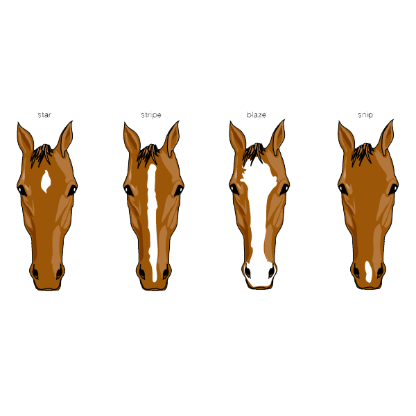 Horse markings logo
