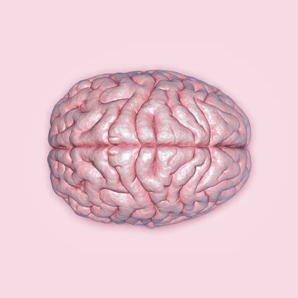 Human brain logo