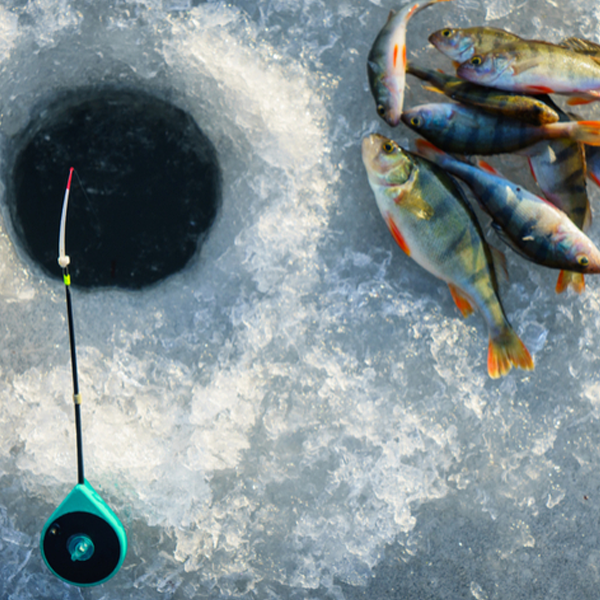 Ice fishing logo