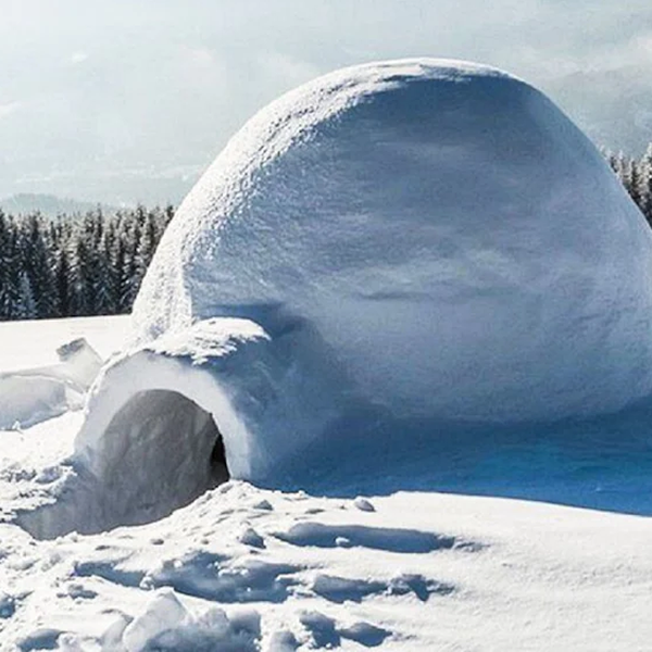 Igloo logo