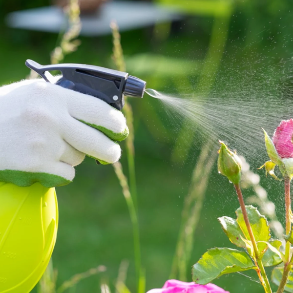 Insecticide logo