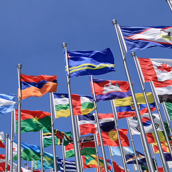 International organization logo