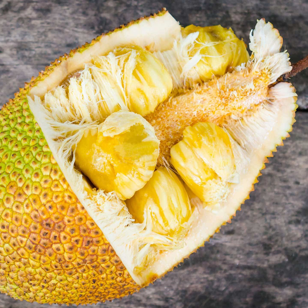 Jackfruit