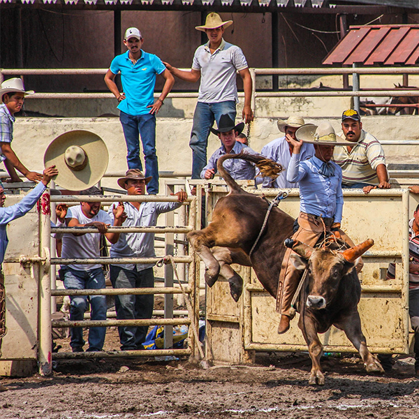 Jaripeo logo