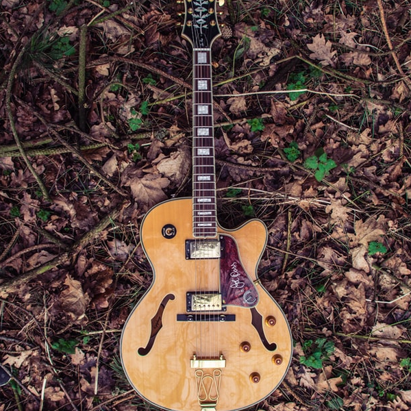 Jazz guitar