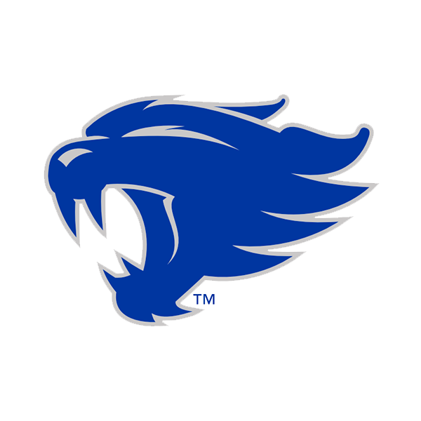 Kentucky Wildcats football logo