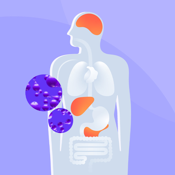 Ketosis logo