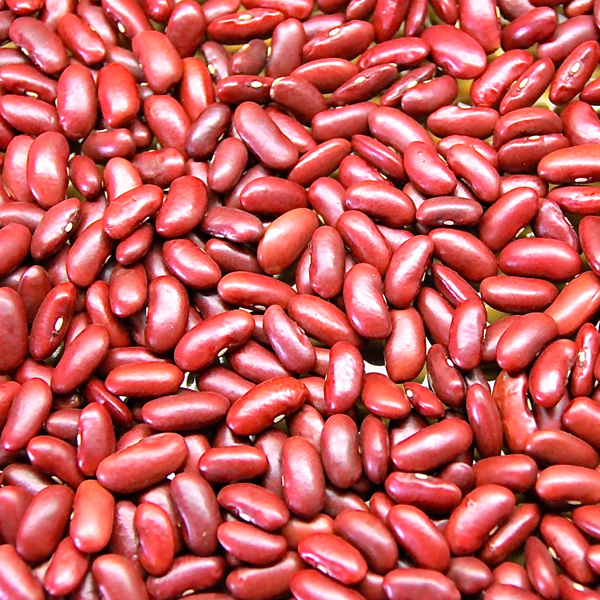 Kidney bean