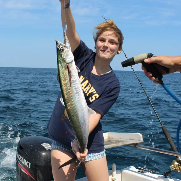 King mackerel logo