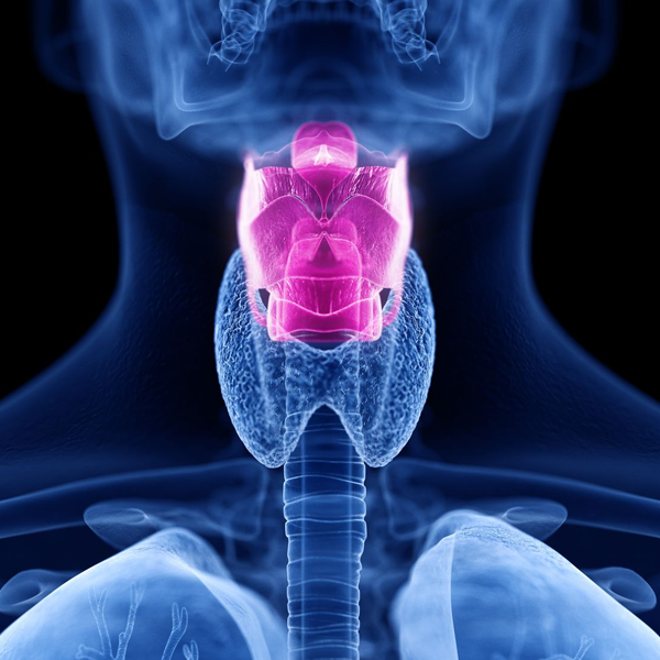Larynx logo