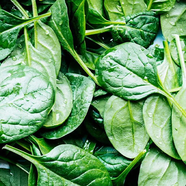 Leaf vegetable