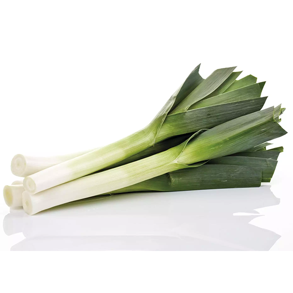 Leek