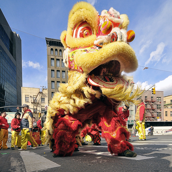 Lion dance logo