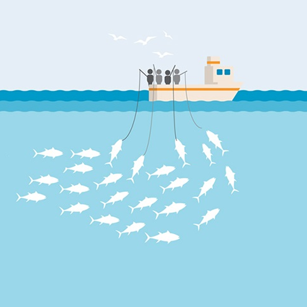 Longline fishing logo
