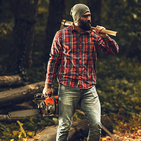 Lumberjack logo