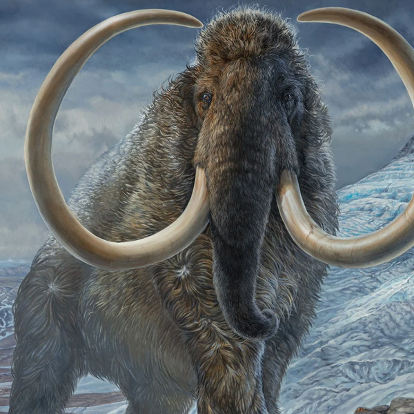 Mammoth