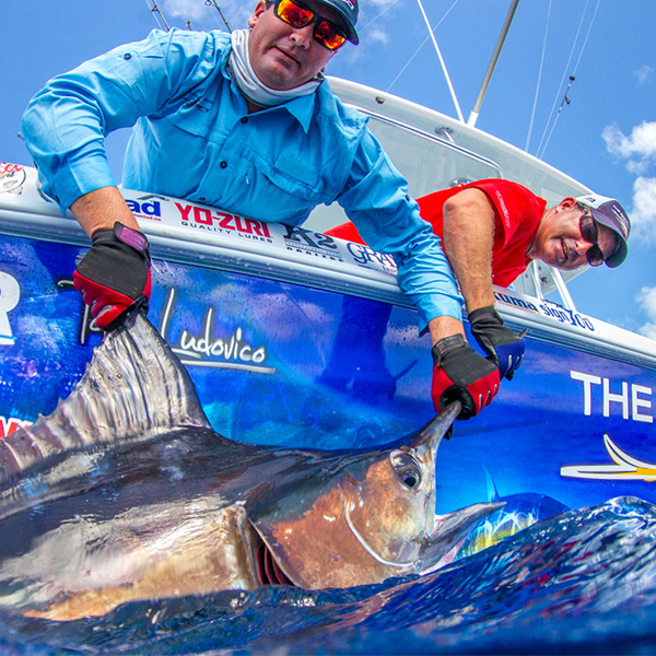 Marlin fishing logo