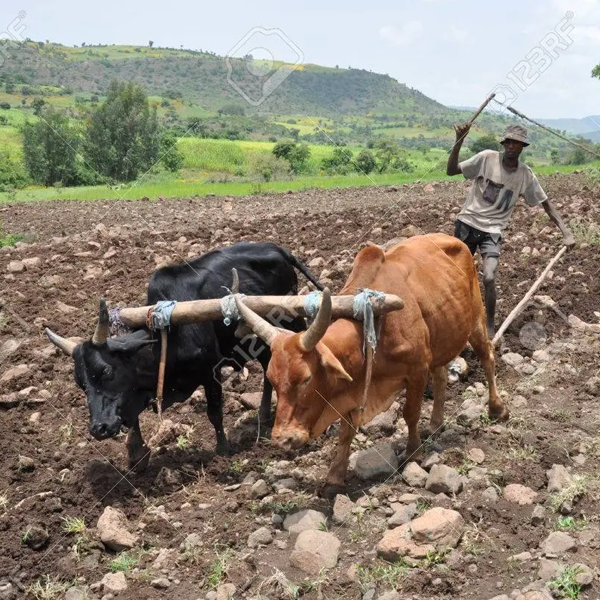 Materials science logo