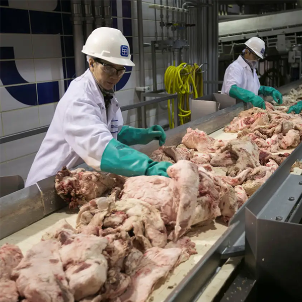 Meat packing industry logo