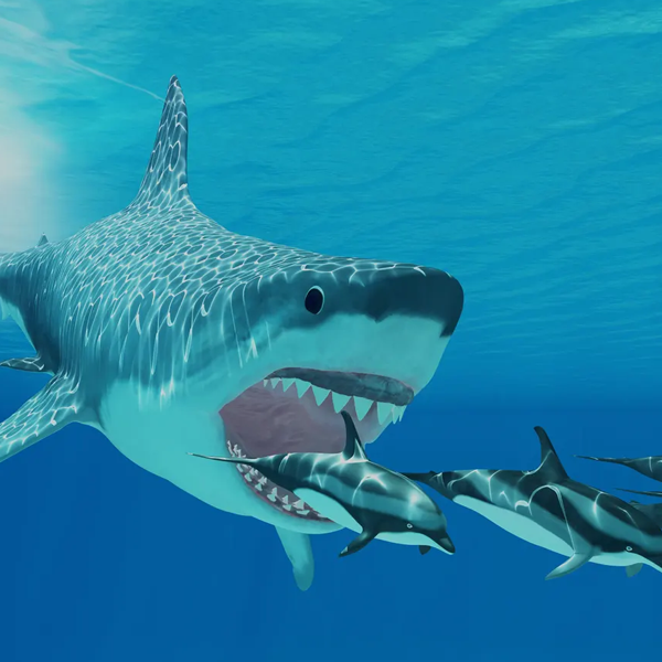 Megalodon logo