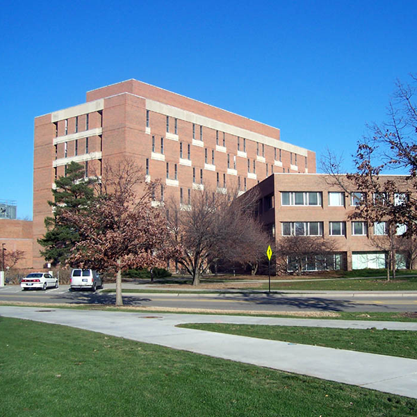 Michigan State University