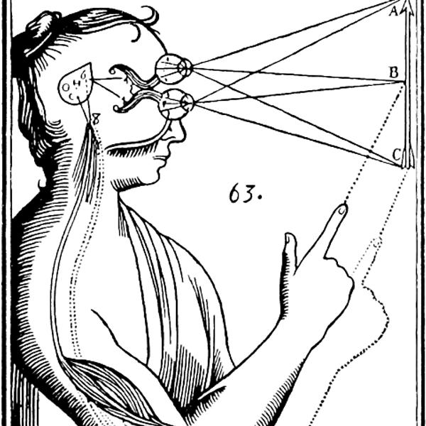 Mind–body problem logo