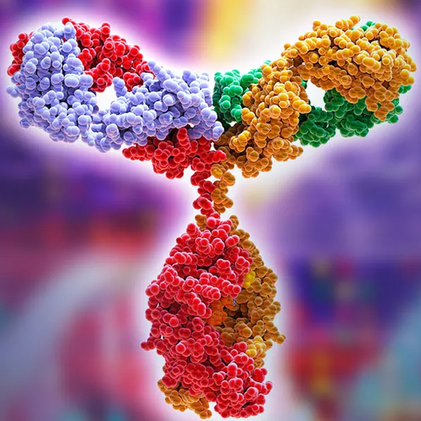 Monoclonal antibody logo