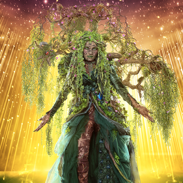 Mother Nature logo