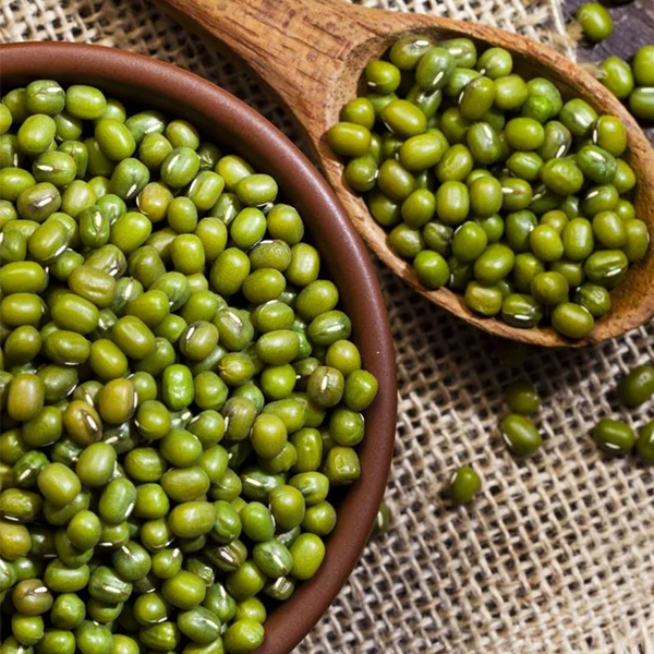 Mung bean