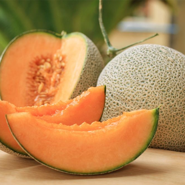 Muskmelon