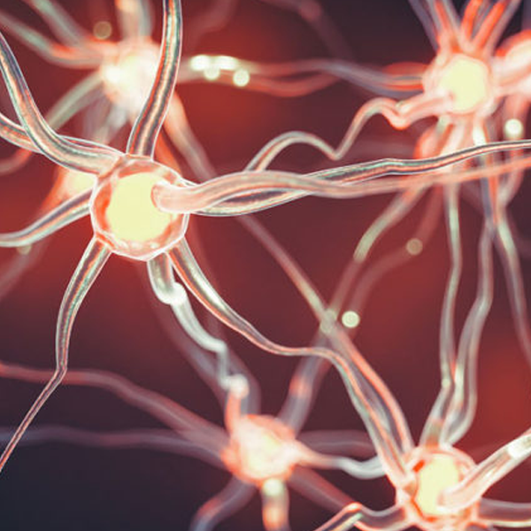 Nerve logo