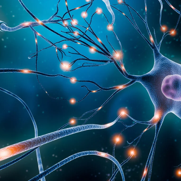 Neuron logo