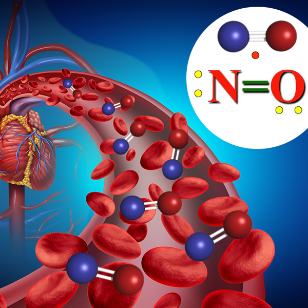 Nitric oxide logo