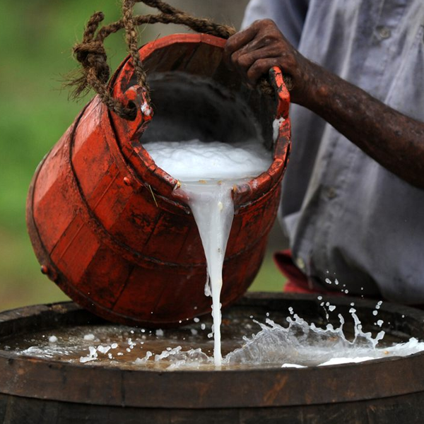 Palm wine